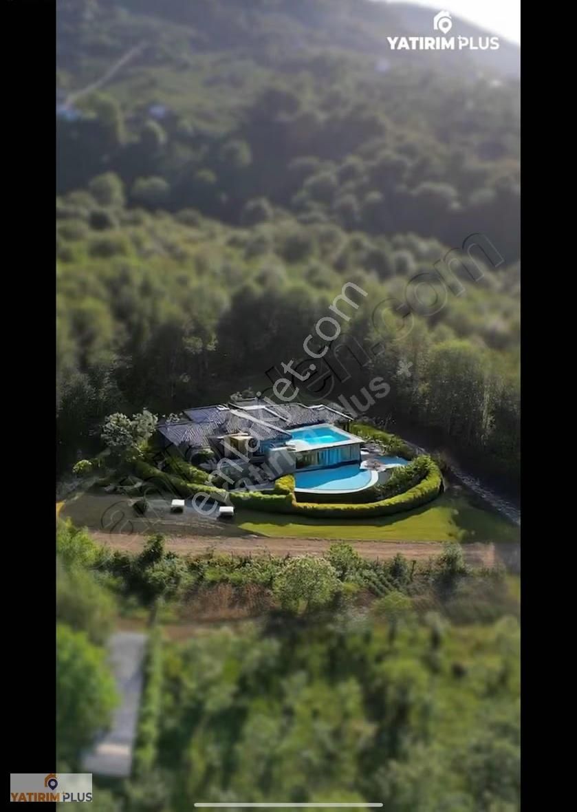 Yatırımplus'tan Atakum'da Ormana Komşu Ev Yapılabilir Tarla - Görsel 6