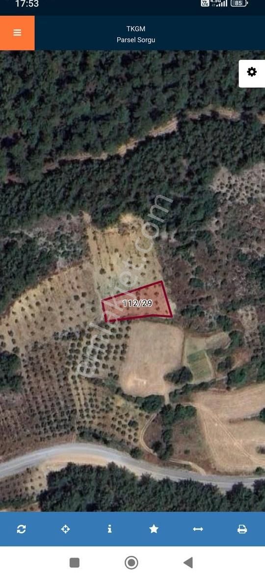 Muğla Menteşe Algıda Yatırımlık Satılık Yan Yana 2 Parsel