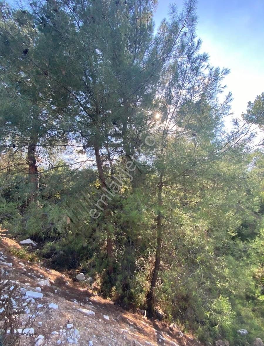 Muğla Menteşe Bayır Rüya 48 Outlet Avm Yanı Satılık İmarlı Arsa - Görsel 5