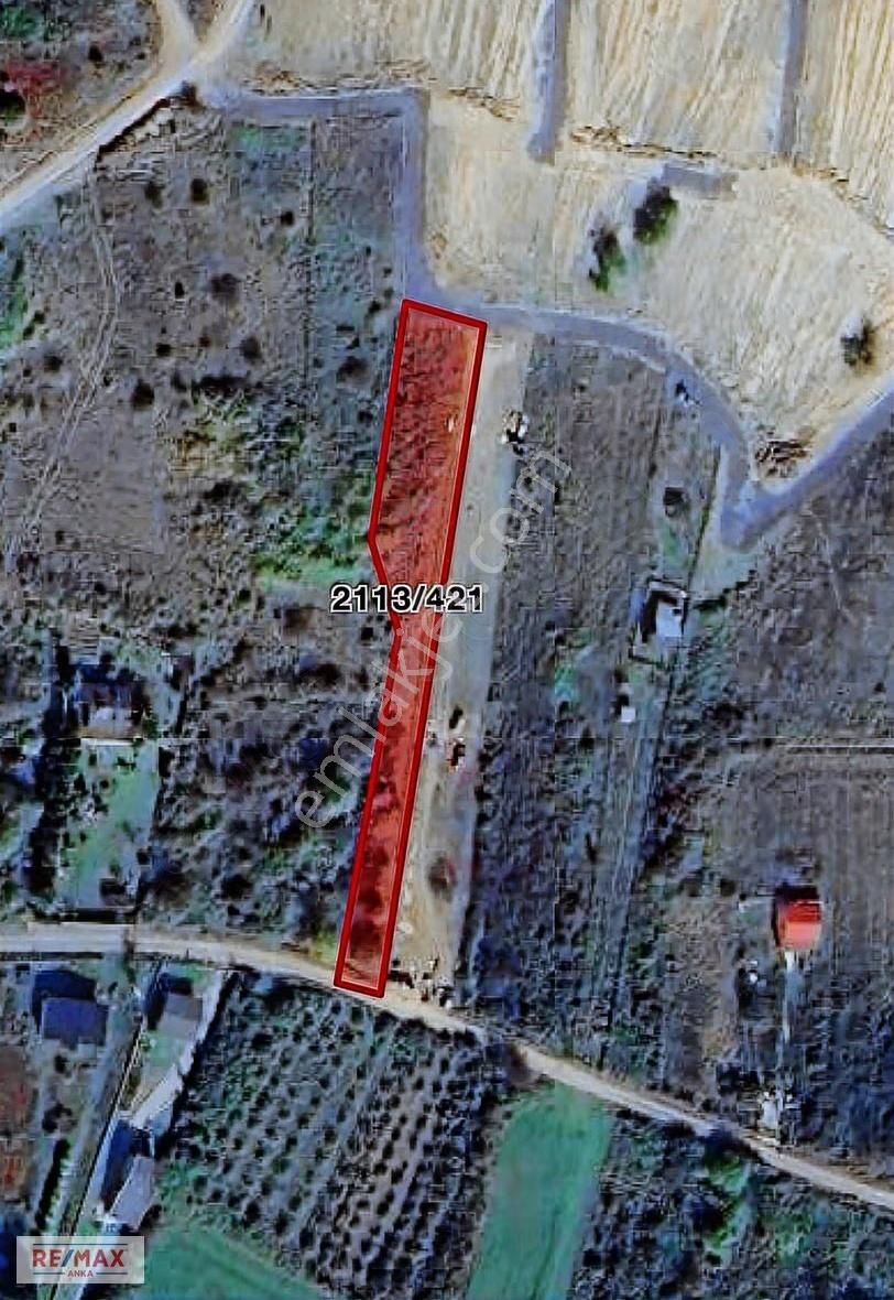Remax Anka'dan Şile Kurfallı Yola Cephe Satılık 1460 M2 Arsa - Görsel 2