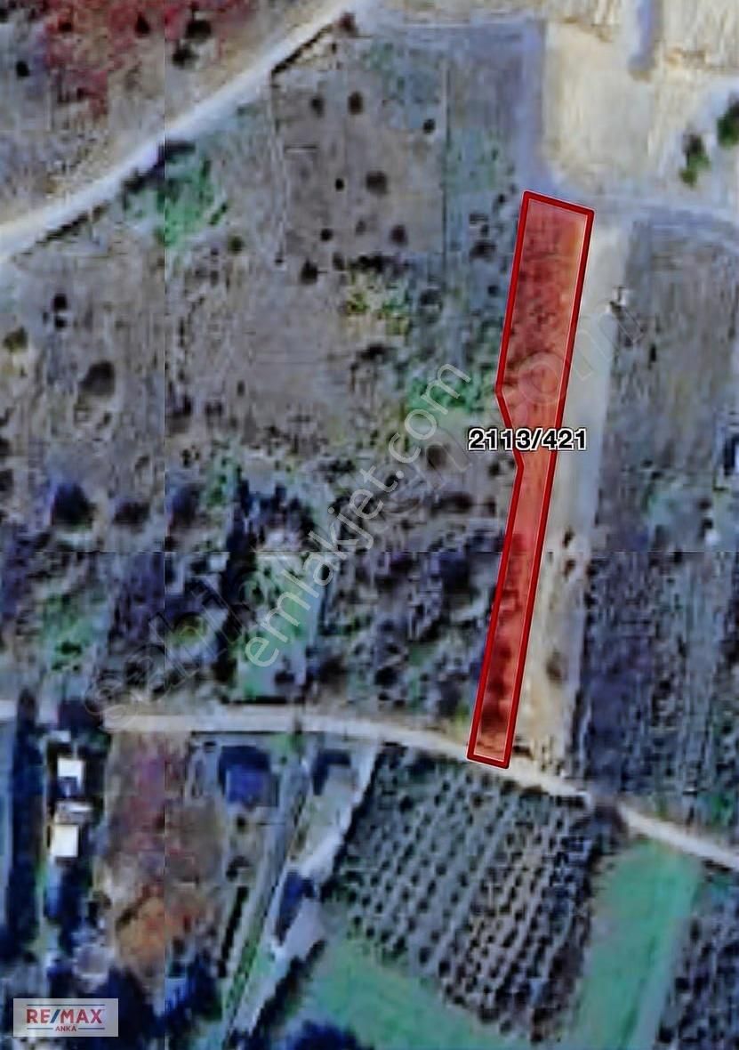Remax Anka'dan Şile Kurfallı Yola Cephe Satılık 1460 M2 Arsa - Görsel 3