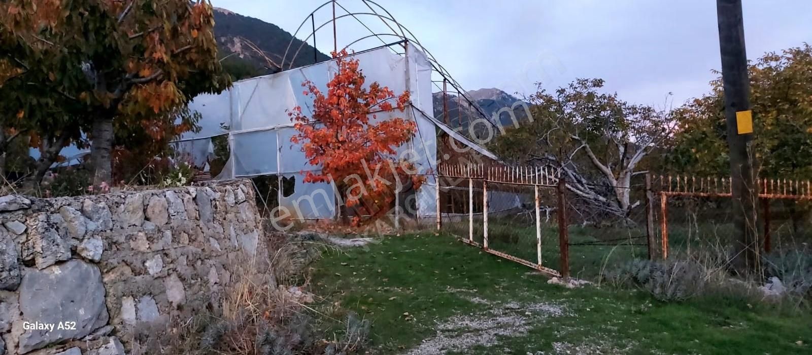Fethiye Nif Mahallesinde 1640 M² Satılık Tek Tapu Kiraz Bahçesi