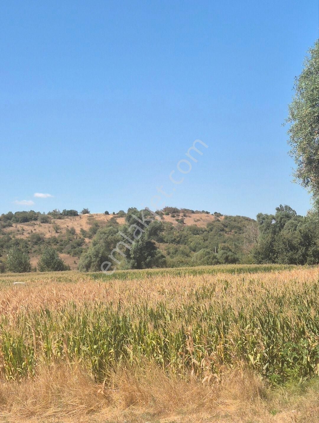 Sahıbınden Tarla - Görsel 2