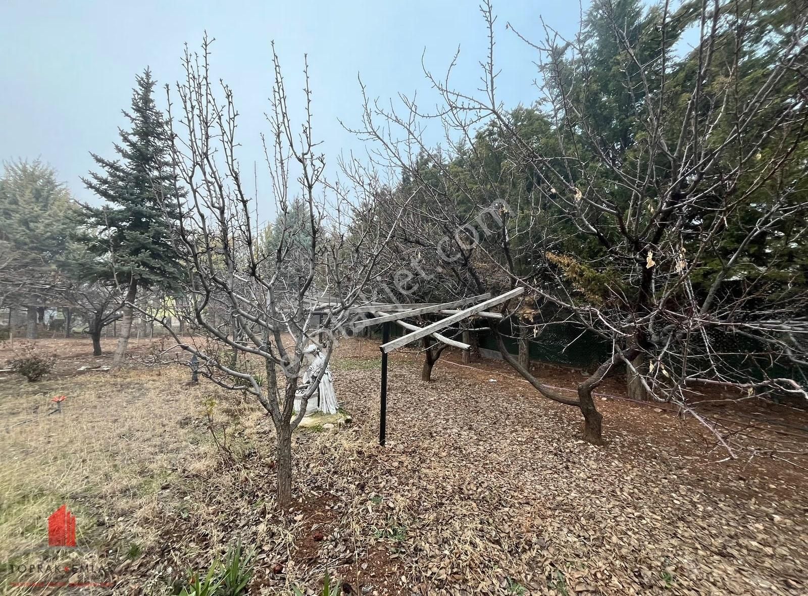 Kozağaçta Köşe 1153m2 Arsada Satılık Kurulu Bahçe - Görsel 7