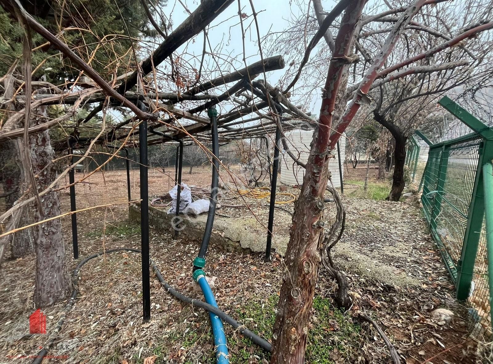 Kozağaçta Köşe 1153m2 Arsada Satılık Kurulu Bahçe - Görsel 14