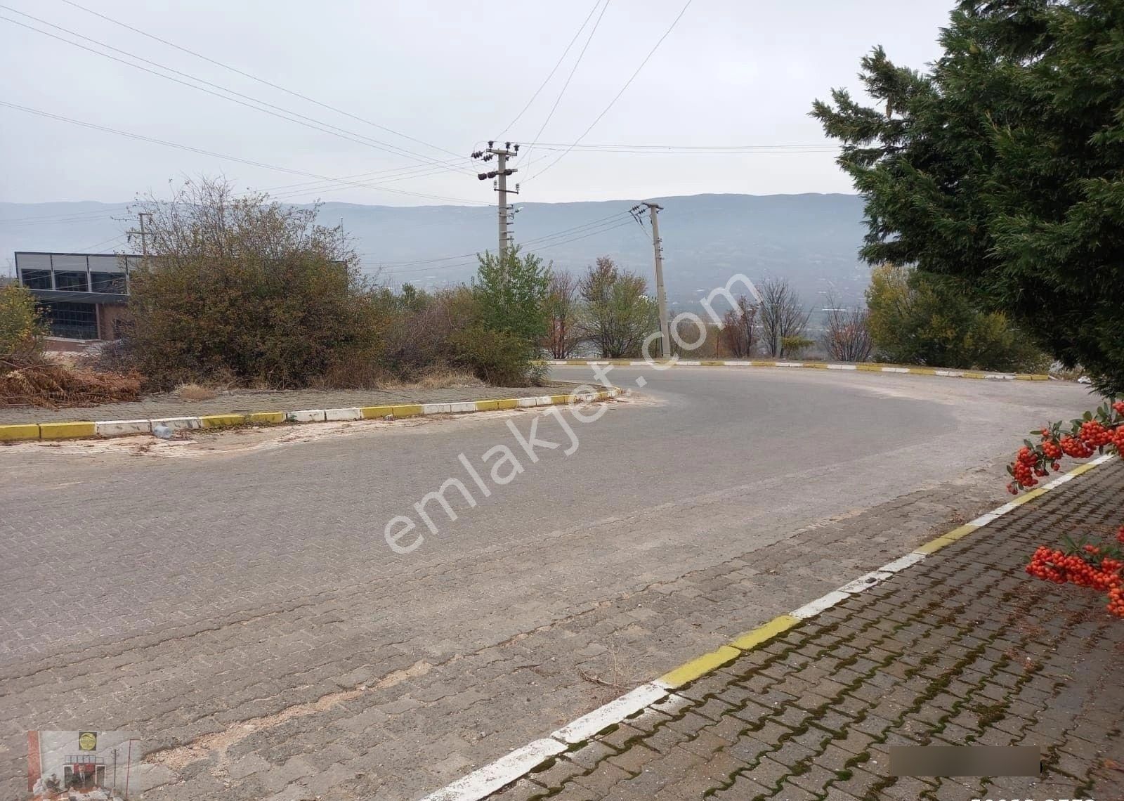 Organize De Herbiri 1500 M² 2 Adet Kiralık Depo Veya Fabrika - Görsel 6