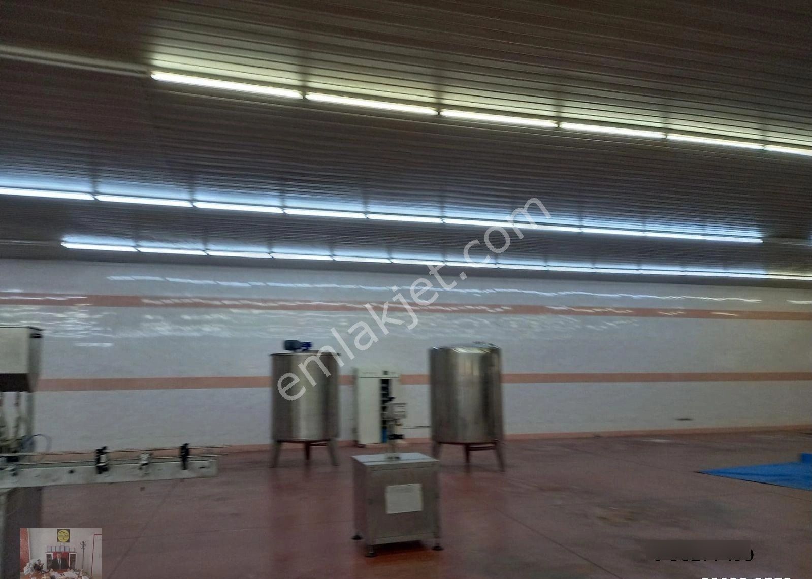 Organize De Herbiri 1500 M² 2 Adet Kiralık Depo Veya Fabrika - Görsel 24