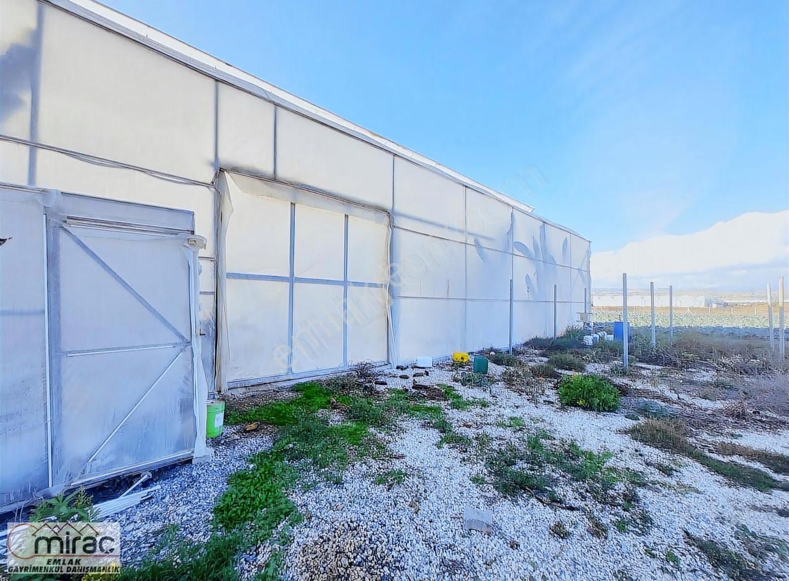 Yeniköyde İçinde Muz Serası Olan 6.500 M2 Tek Tapu Satılık Tarla - Görsel 3