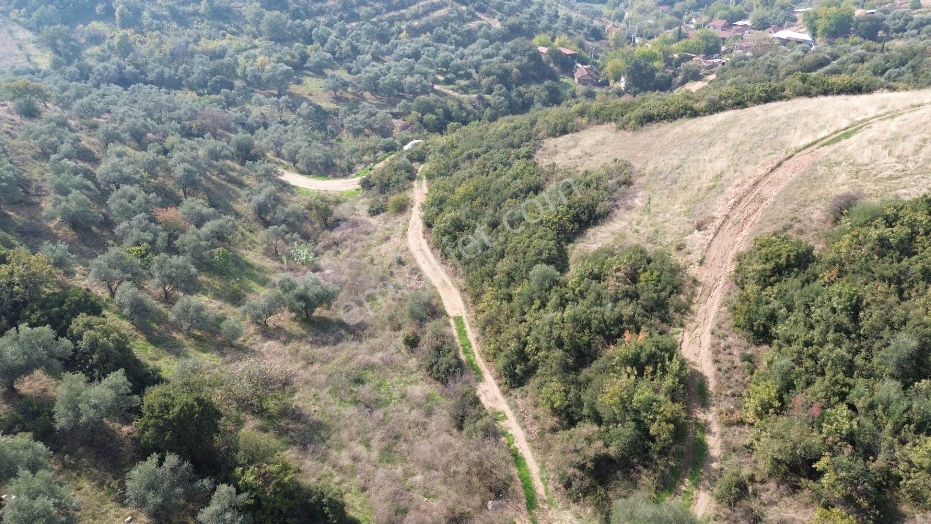 İzmir Tire Sb Emlak Ofisinden Çobanköy Mahallesinde Satılık Zeytinlik - Görsel 19