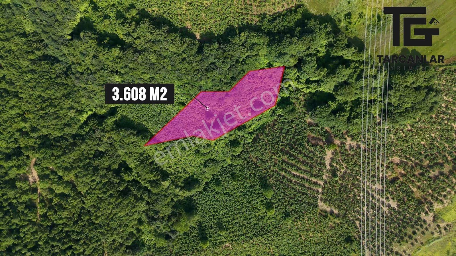Tarcanlar'dan Kandıra Elmacık'ta Satılık 3608 M2 Fındık Bahçesi - Görsel 5
