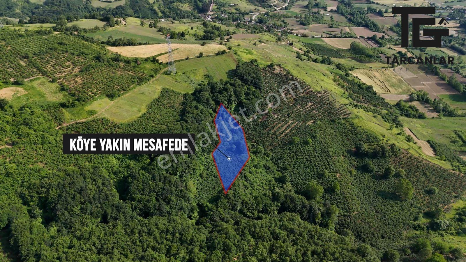 Tarcanlar'dan Kandıra Elmacık'ta Satılık 3608 M2 Fındık Bahçesi - Görsel 6