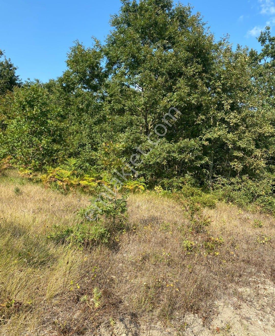 Kandırada Yatırımlık Satılık İmarlı Arsa - Görsel 4
