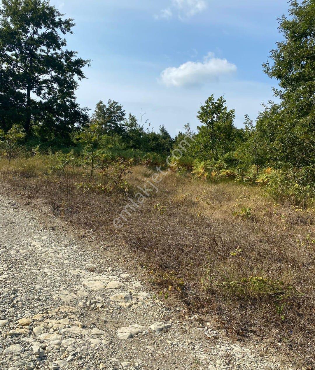 Kandırada Yatırımlık Satılık İmarlı Arsa - Görsel 5
