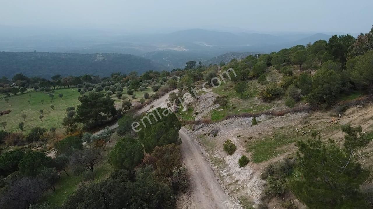 Burhaniye Avundukta Muhteşem Manzarasıyla Çift Kadastro Yollu Satılık Bahçe Vasfında Arazi! - Görsel 15
