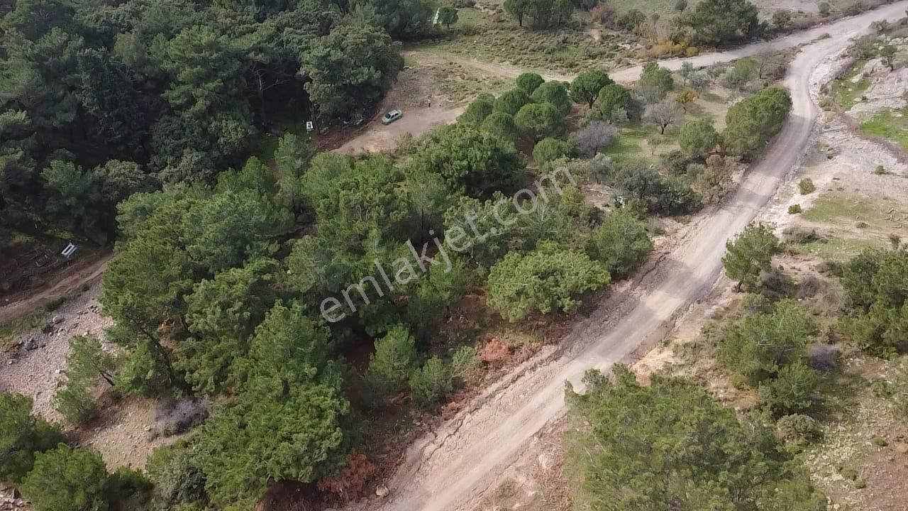 Burhaniye Avundukta Muhteşem Manzarasıyla Çift Kadastro Yollu Satılık Bahçe Vasfında Arazi! - Görsel 6