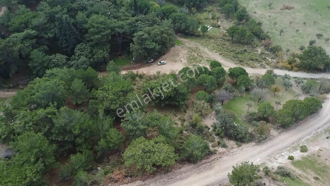Burhaniye Avundukta Muhteşem Manzarasıyla Çift Kadastro Yollu Satılık Bahçe Vasfında Arazi! - Görsel 20