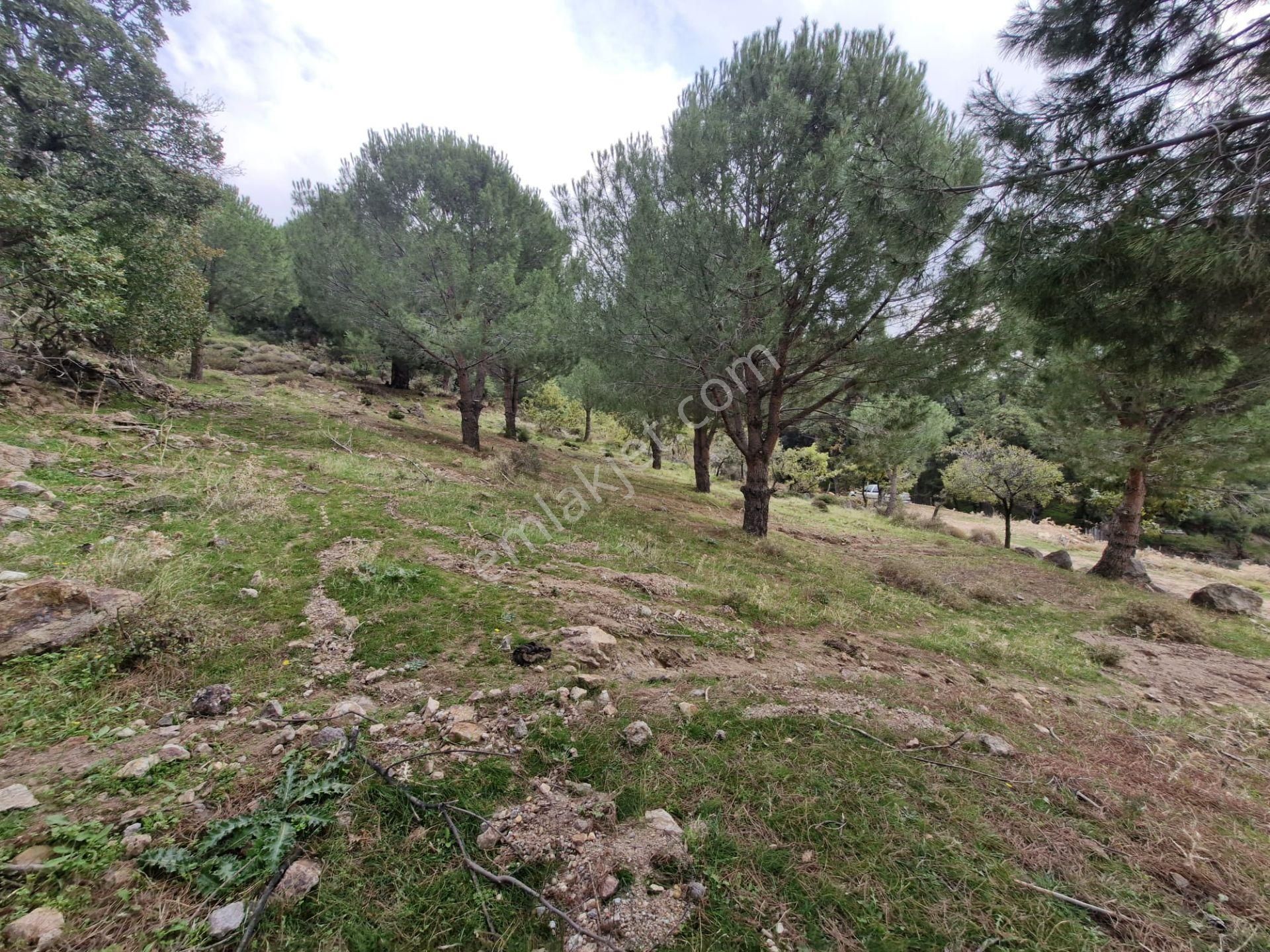 Burhaniye Avundukta Muhteşem Manzarasıyla Çift Kadastro Yollu Satılık Bahçe Vasfında Arazi! - Görsel 30