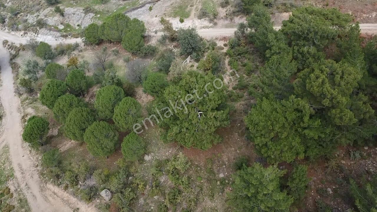 Burhaniye Avundukta Muhteşem Manzarasıyla Çift Kadastro Yollu Satılık Bahçe Vasfında Arazi! - Görsel 11