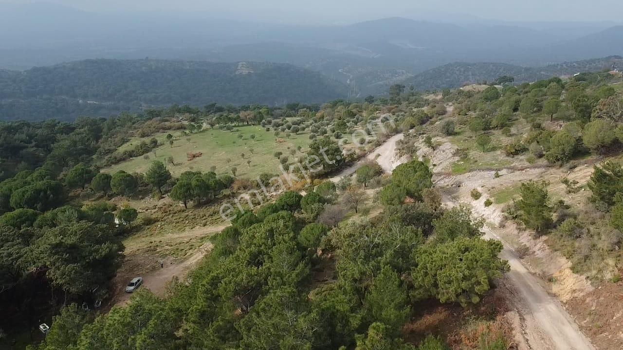 Burhaniye Avundukta Muhteşem Manzarasıyla Çift Kadastro Yollu Satılık Bahçe Vasfında Arazi! - Görsel 12