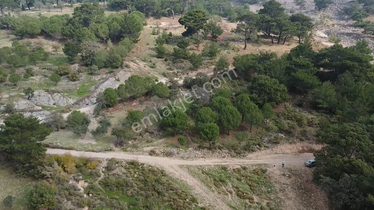 Burhaniye Avundukta Muhteşem Manzarasıyla Çift Kadastro Yollu Satılık Bahçe Vasfında Arazi! - Görsel 13