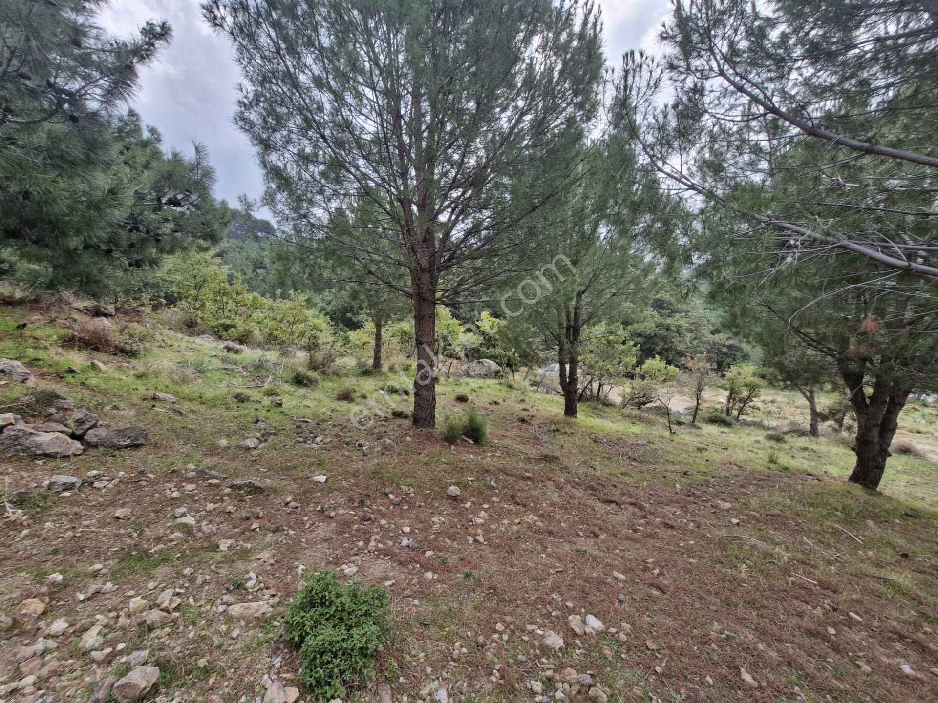 Burhaniye Avundukta Muhteşem Manzarasıyla Çift Kadastro Yollu Satılık Bahçe Vasfında Arazi! - Görsel 29