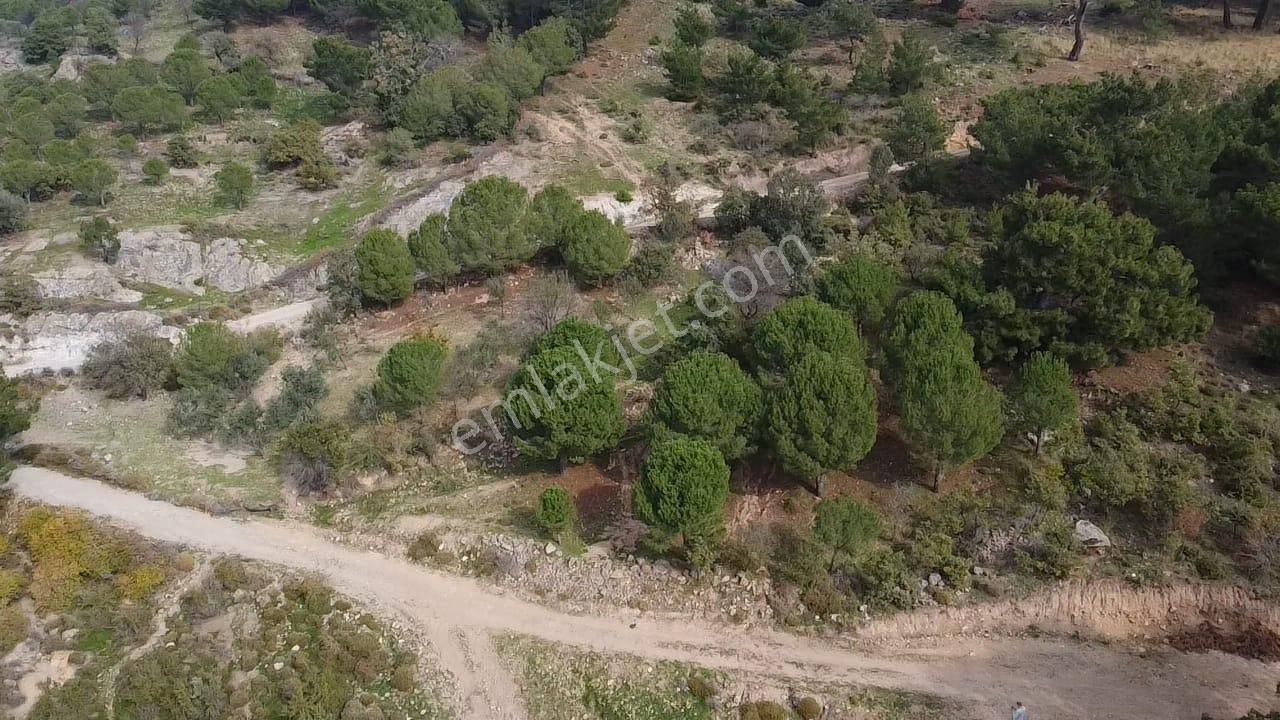 Burhaniye Avundukta Muhteşem Manzarasıyla Çift Kadastro Yollu Satılık Bahçe Vasfında Arazi! - Görsel 5