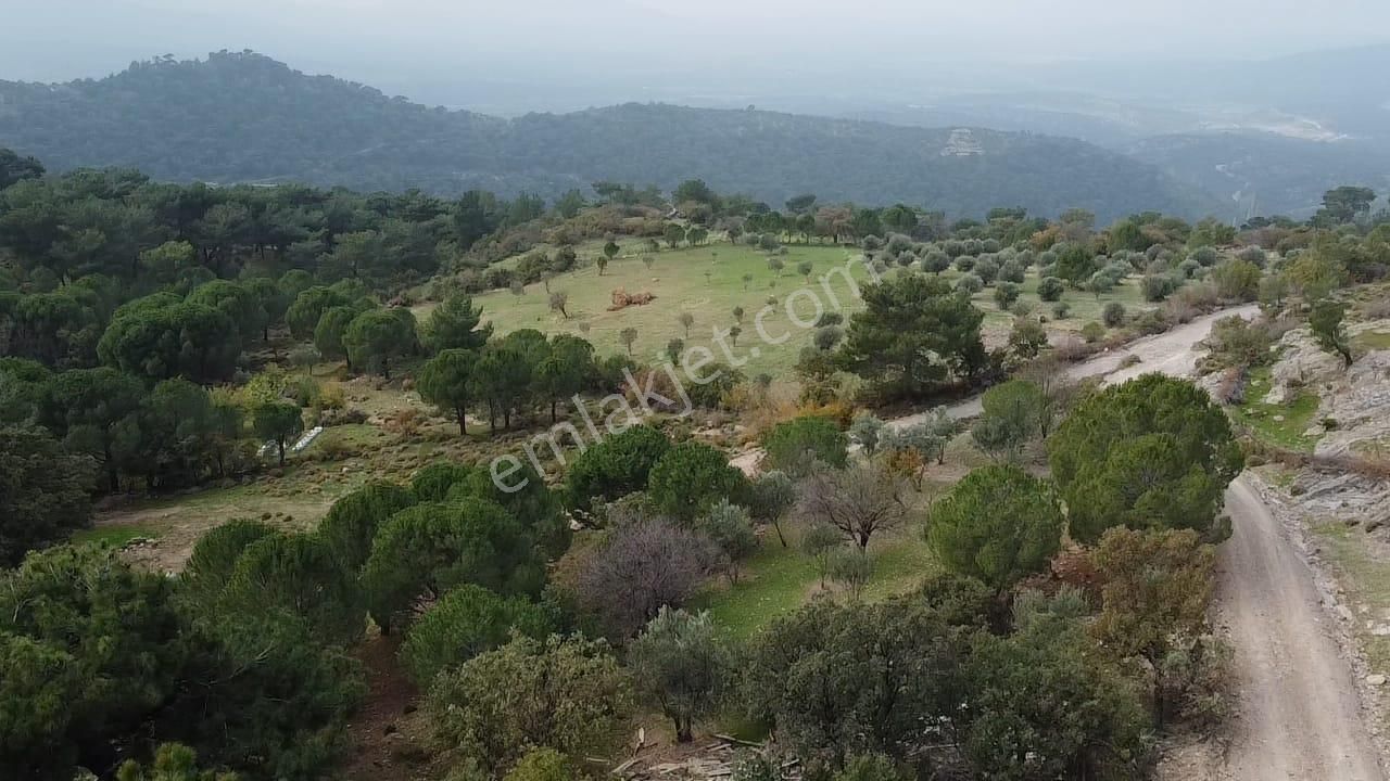 Burhaniye Avundukta Muhteşem Manzarasıyla Çift Kadastro Yollu Satılık Bahçe Vasfında Arazi! - Görsel 14