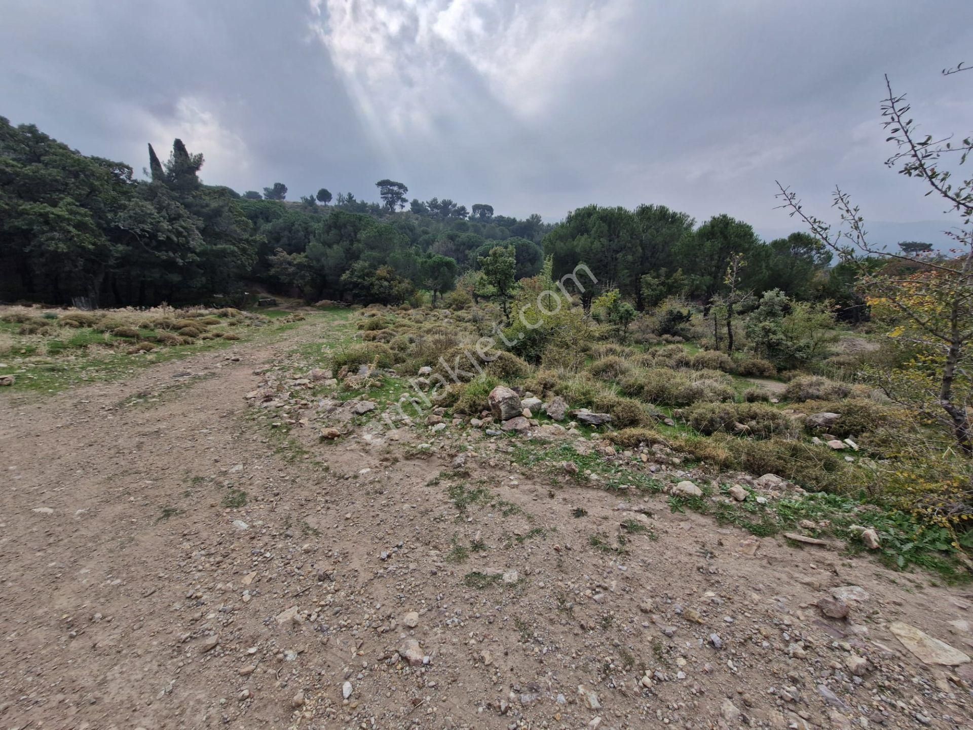 Burhaniye Avundukta Muhteşem Manzarasıyla Çift Kadastro Yollu Satılık Bahçe Vasfında Arazi! - Görsel 25