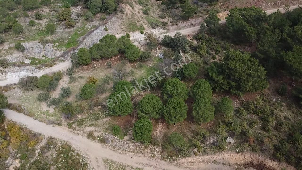 Burhaniye Avundukta Muhteşem Manzarasıyla Çift Kadastro Yollu Satılık Bahçe Vasfında Arazi! - Görsel 16