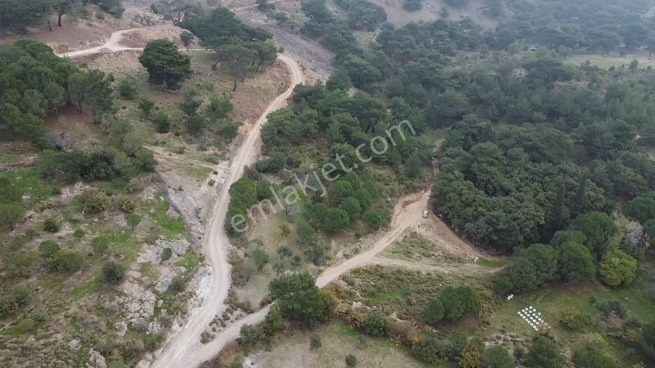 Burhaniye Avundukta Muhteşem Manzarasıyla Çift Kadastro Yollu Satılık Bahçe Vasfında Arazi! - Görsel 17