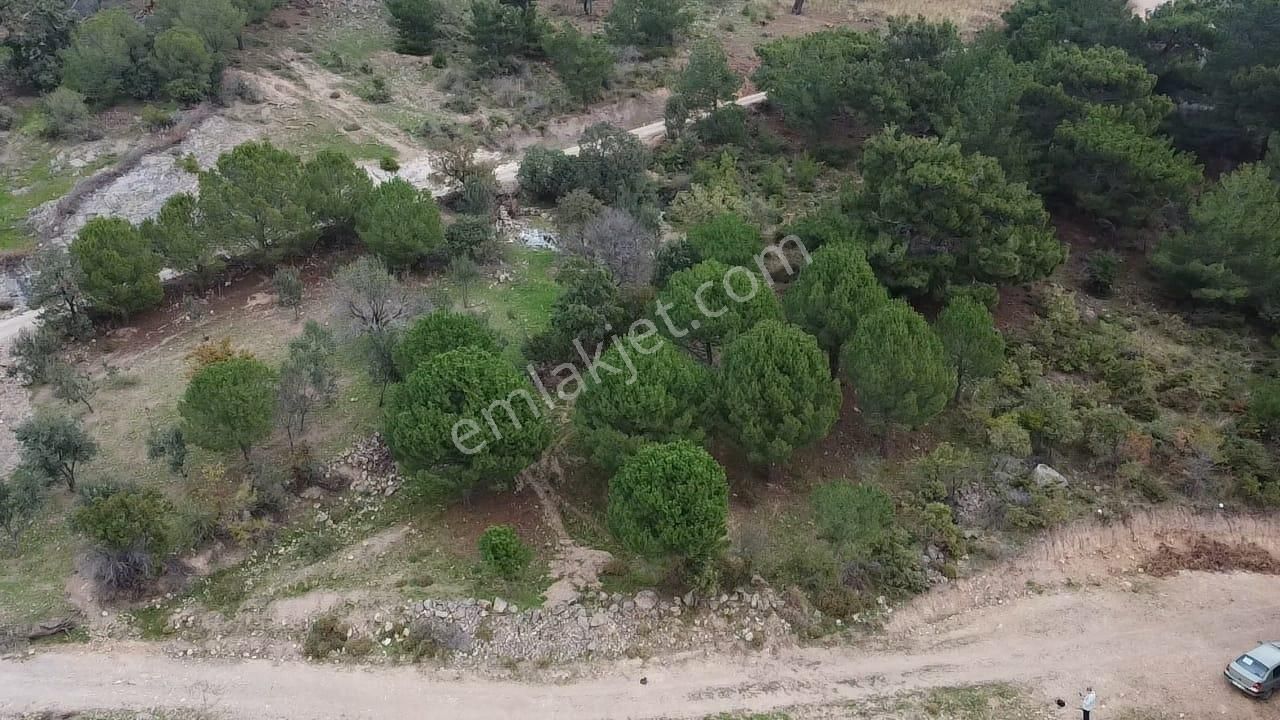 Burhaniye Avundukta Muhteşem Manzarasıyla Çift Kadastro Yollu Satılık Bahçe Vasfında Arazi! - Görsel 22