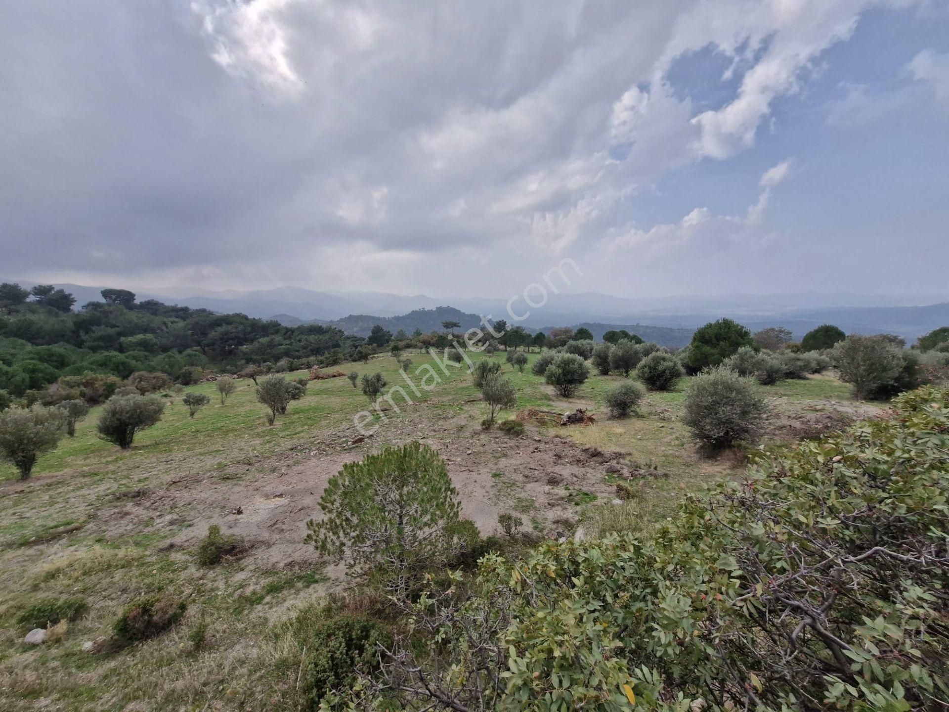 Burhaniye Avundukta Muhteşem Manzarasıyla Çift Kadastro Yollu Satılık Bahçe Vasfında Arazi! - Görsel 33