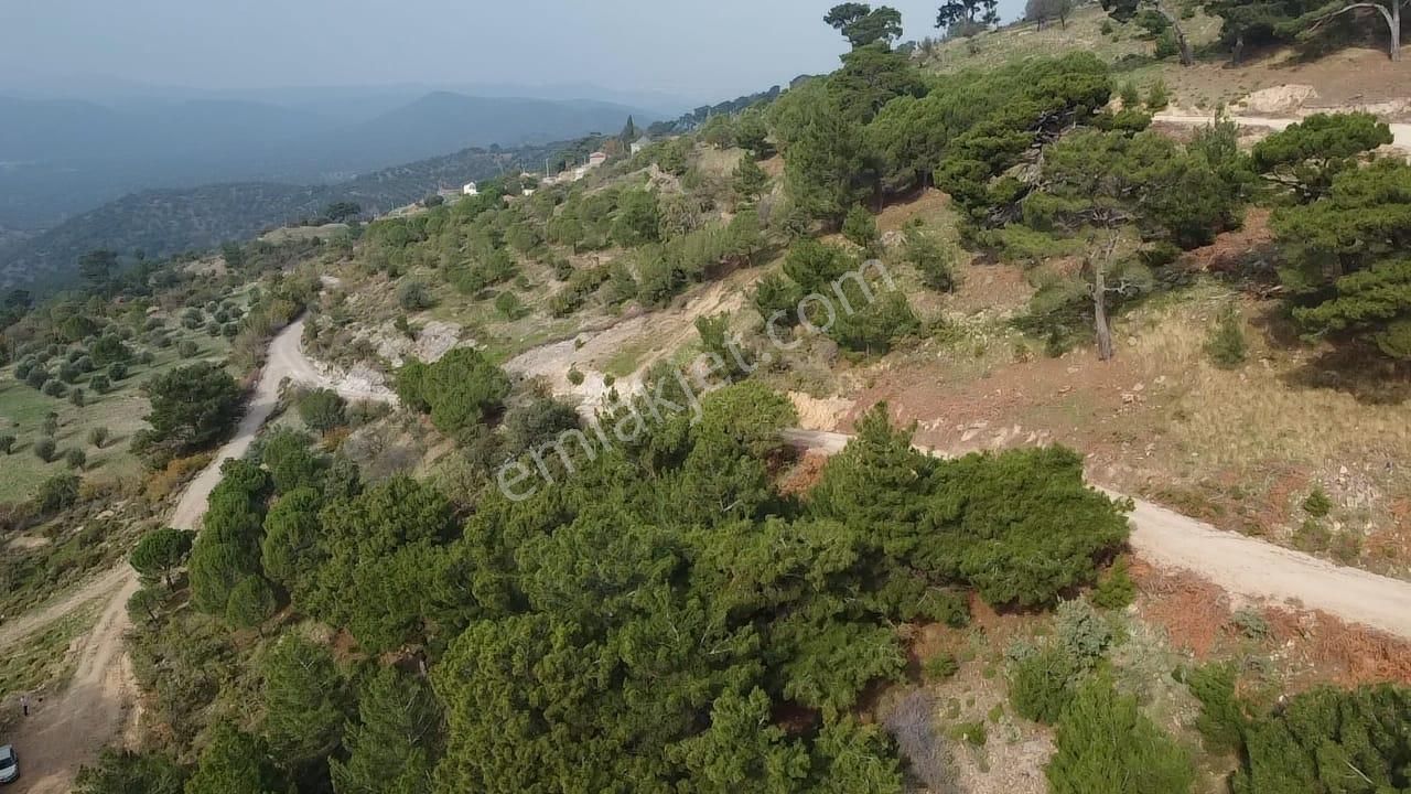 Burhaniye Avundukta Muhteşem Manzarasıyla Çift Kadastro Yollu Satılık Bahçe Vasfında Arazi! - Görsel 9
