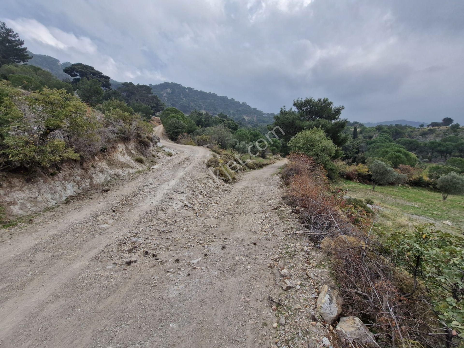 Burhaniye Avundukta Muhteşem Manzarasıyla Çift Kadastro Yollu Satılık Bahçe Vasfında Arazi! - Görsel 32