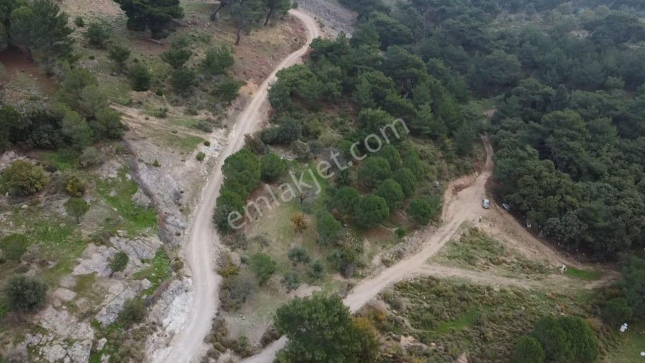 Burhaniye Avundukta Muhteşem Manzarasıyla Çift Kadastro Yollu Satılık Bahçe Vasfında Arazi! - Görsel 21