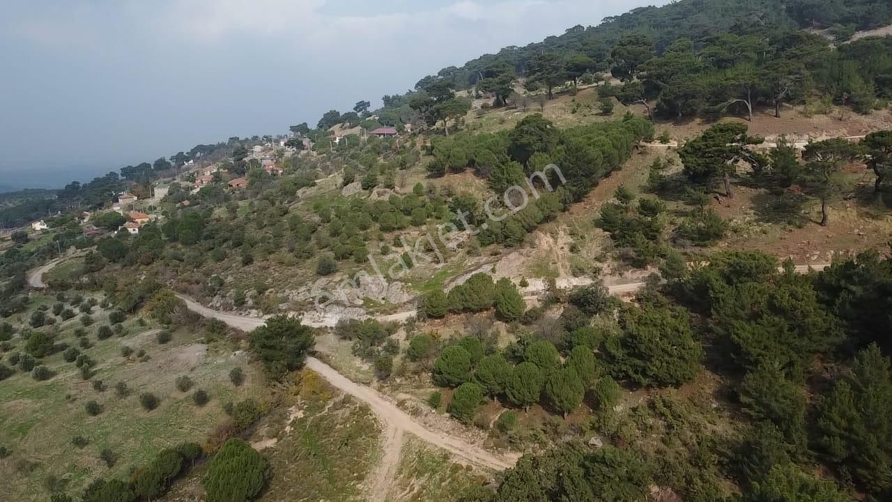 Burhaniye Avundukta Muhteşem Manzarasıyla Çift Kadastro Yollu Satılık Bahçe Vasfında Arazi! - Görsel 10