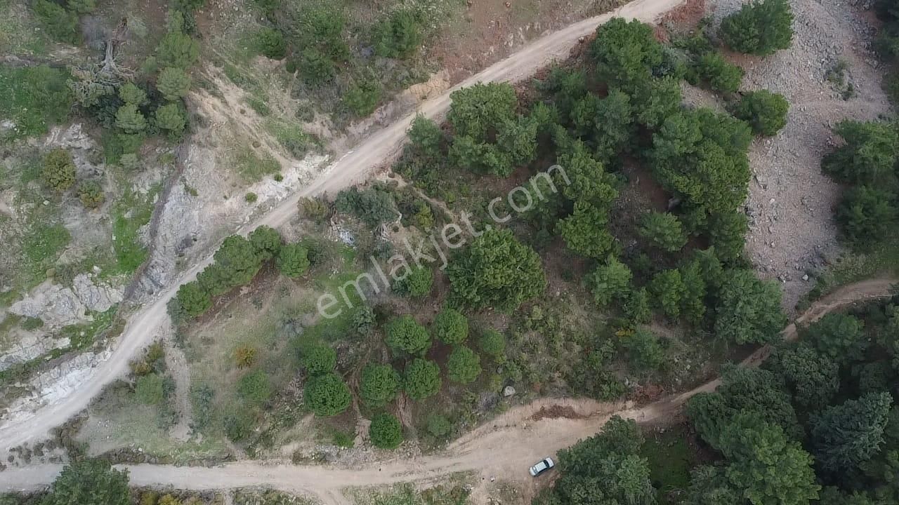 Burhaniye Avundukta Muhteşem Manzarasıyla Çift Kadastro Yollu Satılık Bahçe Vasfında Arazi! - Görsel 3