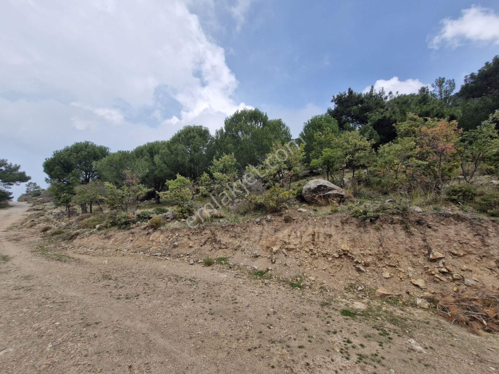 Burhaniye Avundukta Muhteşem Manzarasıyla Çift Kadastro Yollu Satılık Bahçe Vasfında Arazi! - Görsel 28