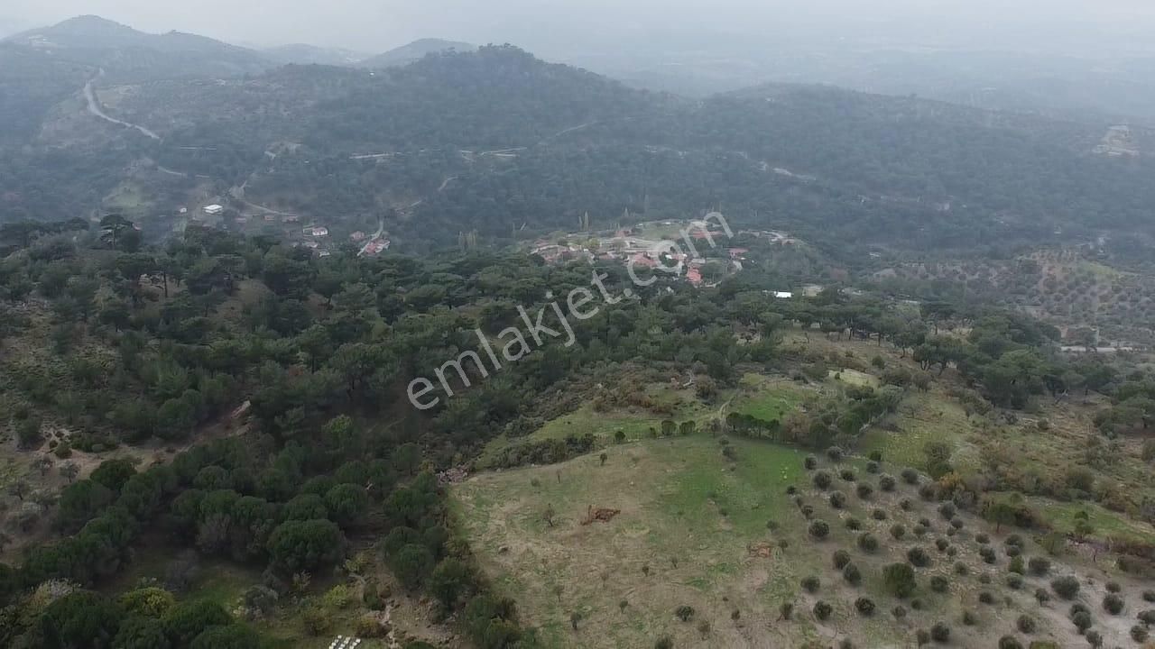 Burhaniye Avundukta Muhteşem Manzarasıyla Çift Kadastro Yollu Satılık Bahçe Vasfında Arazi! - Görsel 18