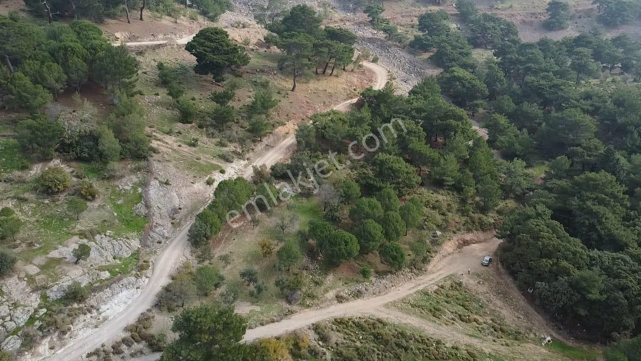 Burhaniye Avundukta Muhteşem Manzarasıyla Çift Kadastro Yollu Satılık Bahçe Vasfında Arazi! - Görsel 7