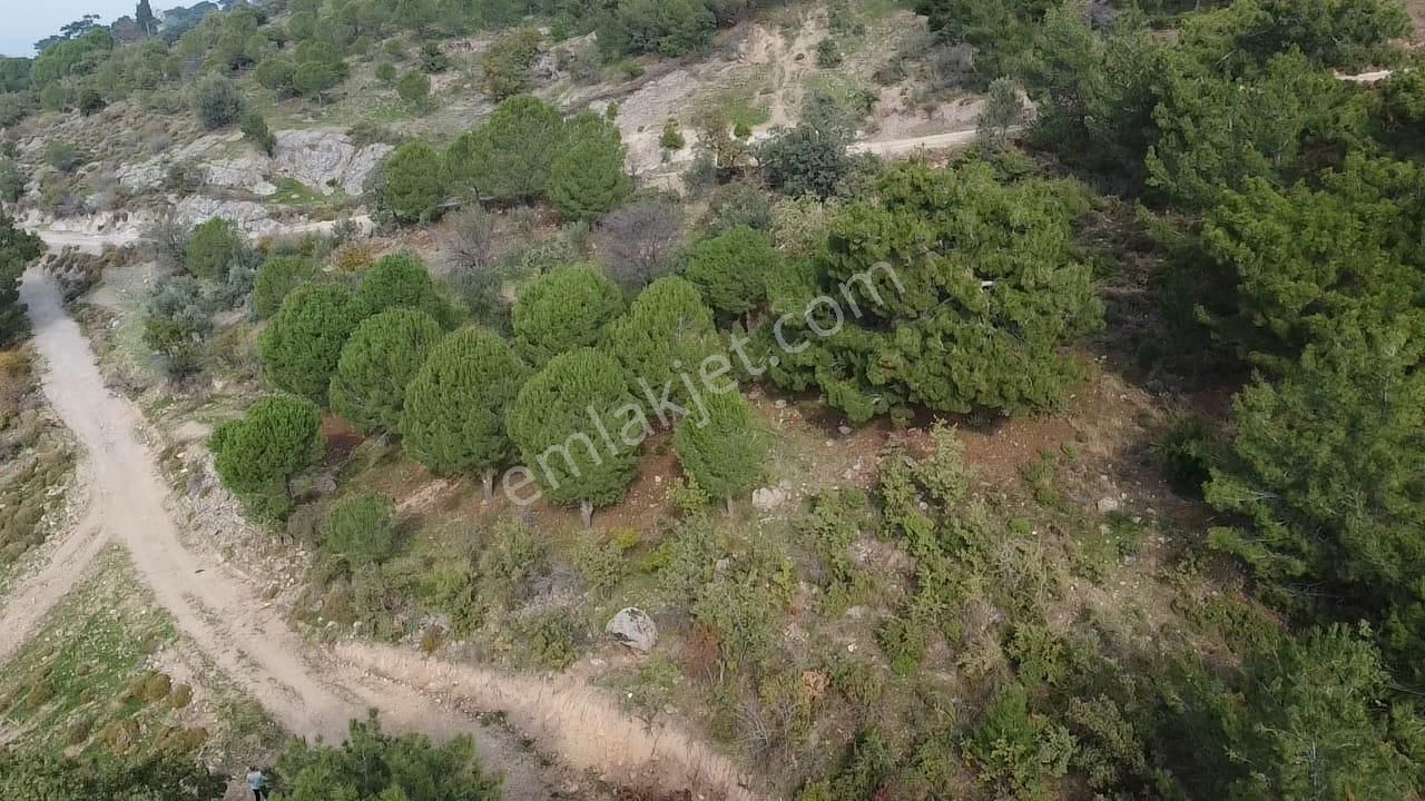 Burhaniye Avundukta Muhteşem Manzarasıyla Çift Kadastro Yollu Satılık Bahçe Vasfında Arazi! - Görsel 4