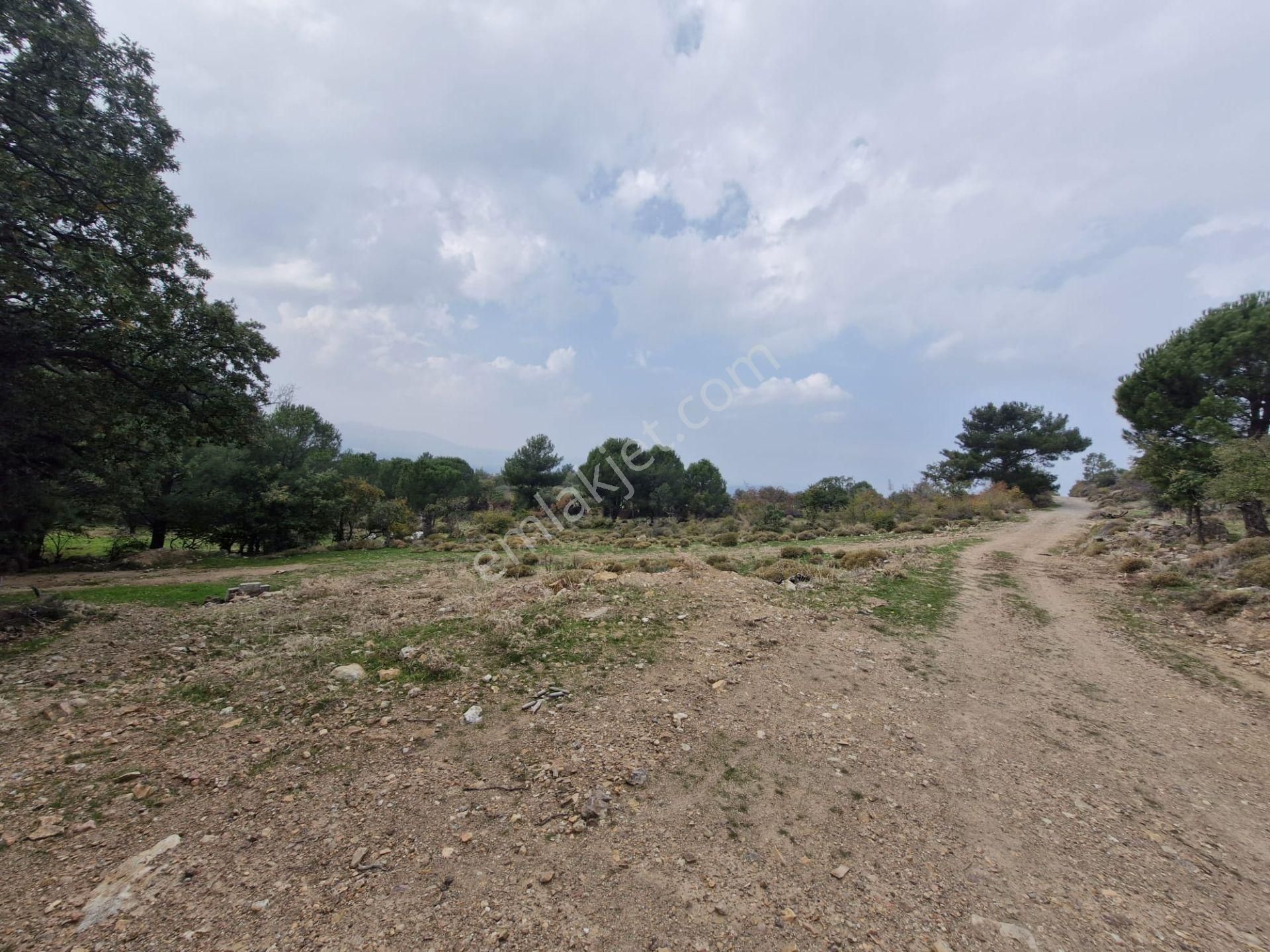 Burhaniye Avundukta Muhteşem Manzarasıyla Çift Kadastro Yollu Satılık Bahçe Vasfında Arazi! - Görsel 31