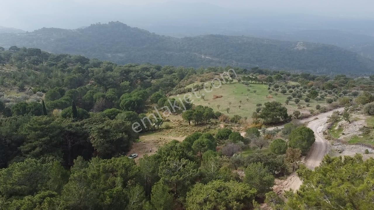 Burhaniye Avundukta Muhteşem Manzarasıyla Çift Kadastro Yollu Satılık Bahçe Vasfında Arazi! - Görsel 8