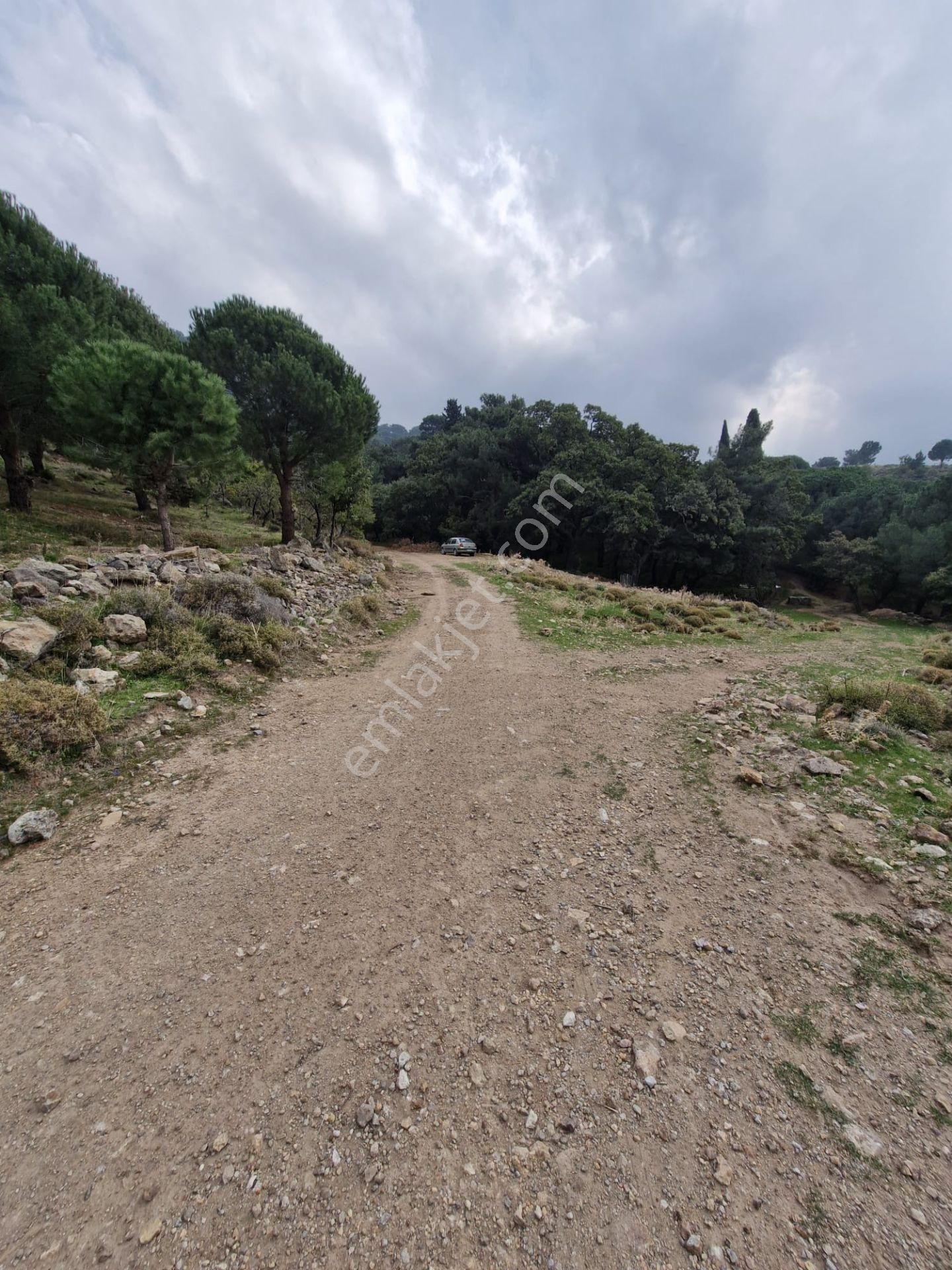 Burhaniye Avundukta Muhteşem Manzarasıyla Çift Kadastro Yollu Satılık Bahçe Vasfında Arazi! - Görsel 27
