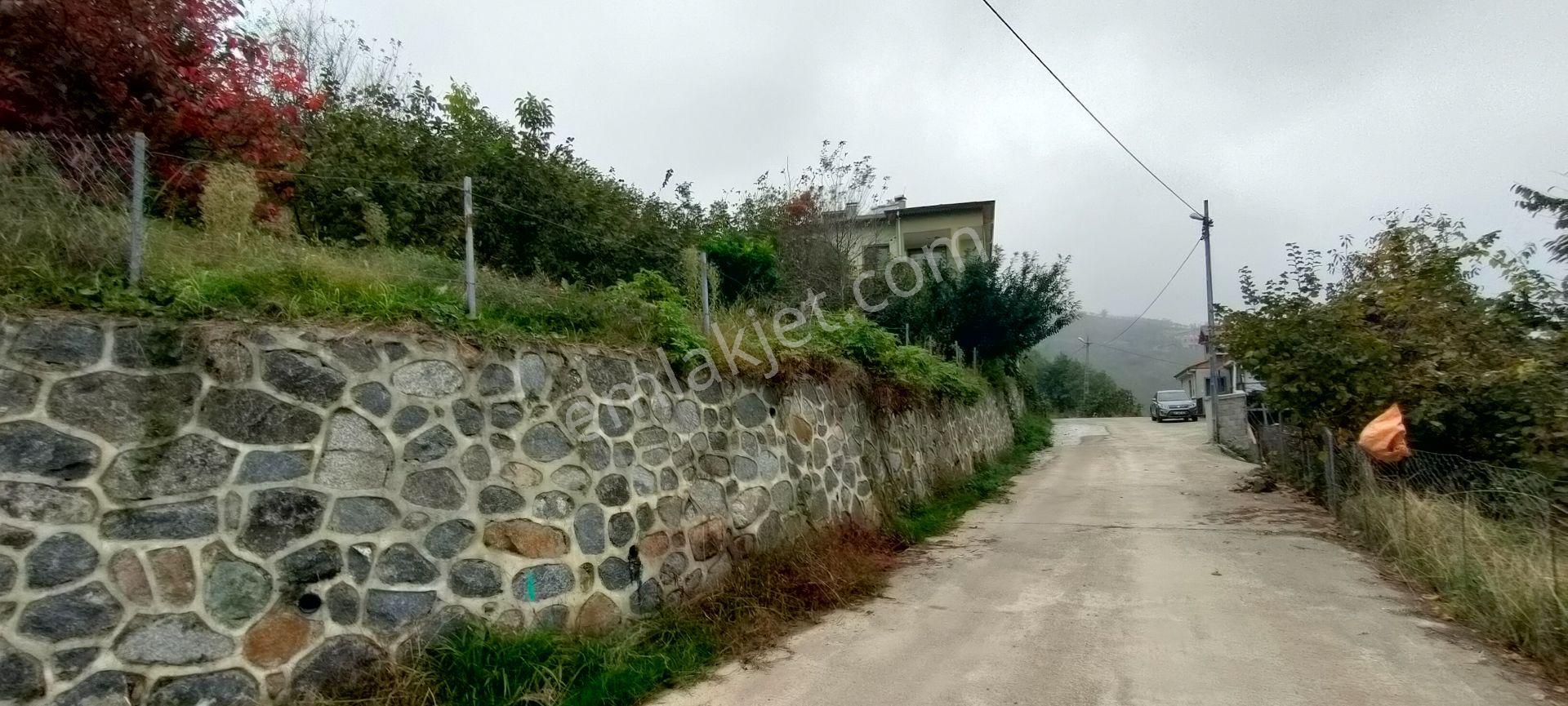 Sürmene Petekli Mahallesinde Satılık 2700 M2 Arazi İçinde Villa - Görsel 28