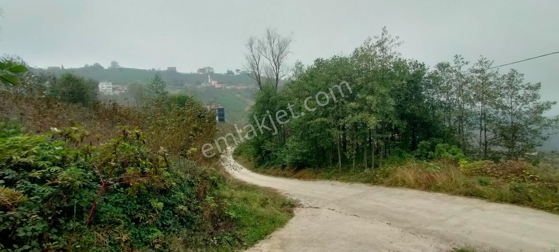 Sürmene Petekli Mahallesinde Satılık 2700 M2 Arazi İçinde Villa - Görsel 10