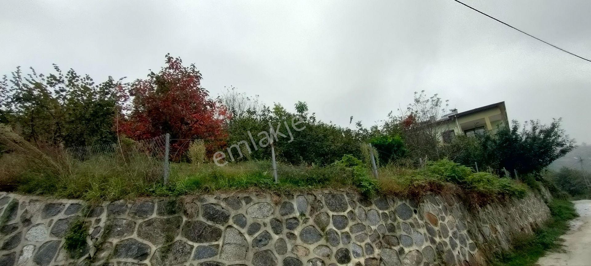 Sürmene Petekli Mahallesinde Satılık 2700 M2 Arazi İçinde Villa - Görsel 32