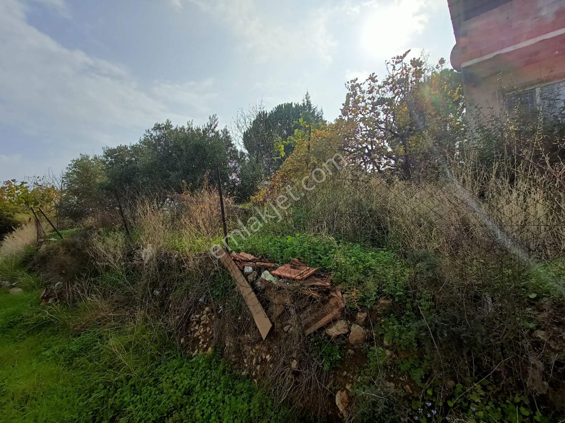 Kemalpaşa Soğukpınar Kentsel Dönüşüm Fırsatı - Görsel 10