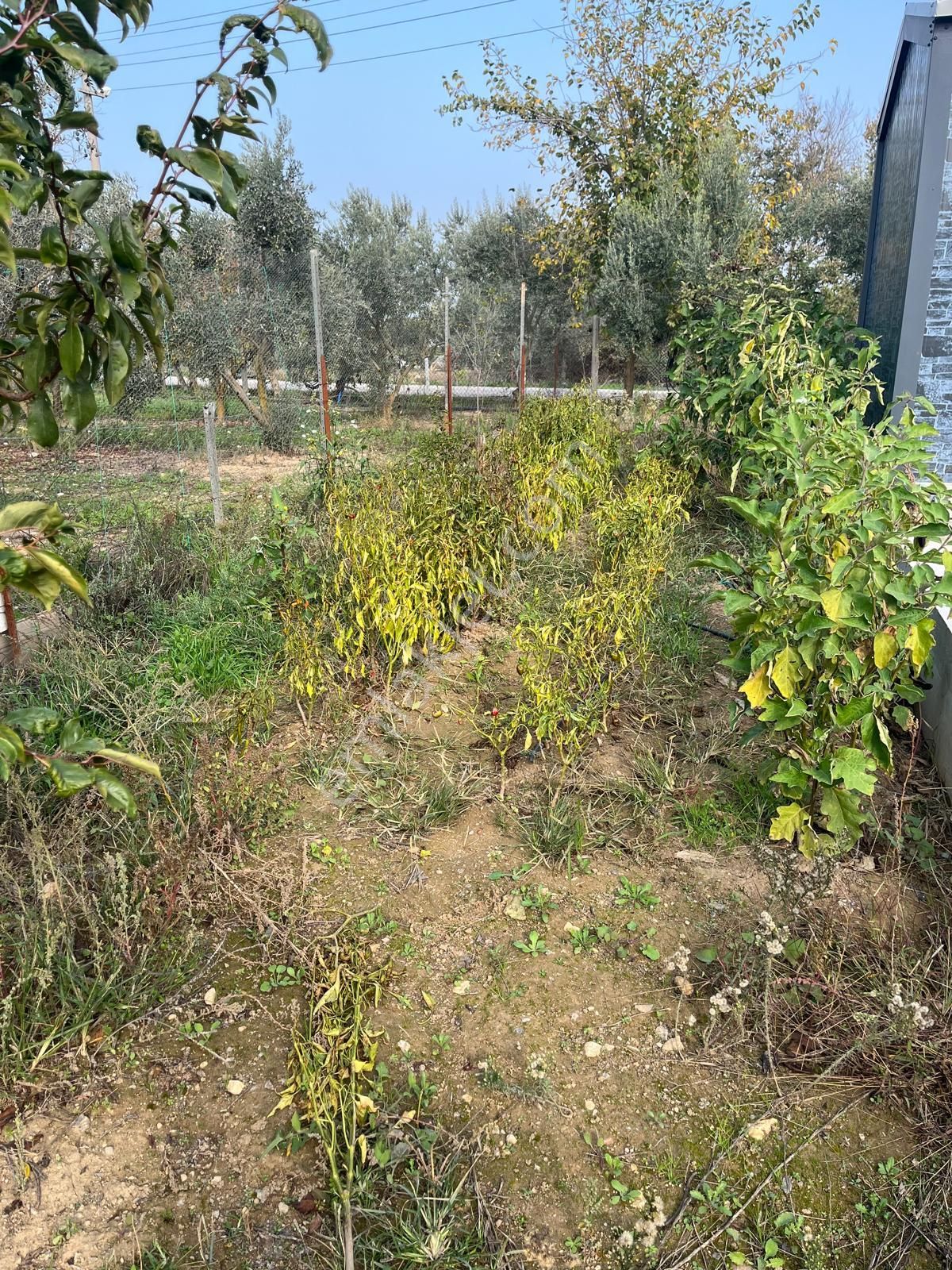 Menderes Turyap'tan Değirmendere'de Anayola Cepheli Hisse Tapulu - Görsel 23