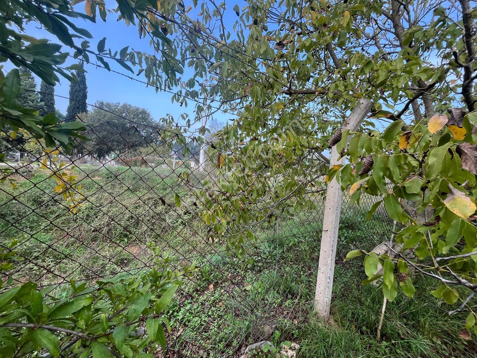 Menderes Turyap'tan Değirmendere'de Anayola Cepheli Hisse Tapulu - Görsel 31